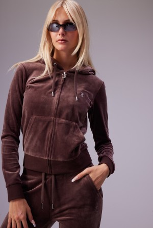 Juicy Couture Classic Velour Diamante Robertson Hoodie Brune | JC-SN652064