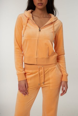 Juicy Couture Classic Velour Robertson Hoodie Oransje | JC-SN651982