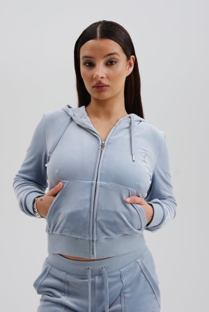 Juicy Couture Classic Velour Robertson Hoodie Blå | JC-SN652069