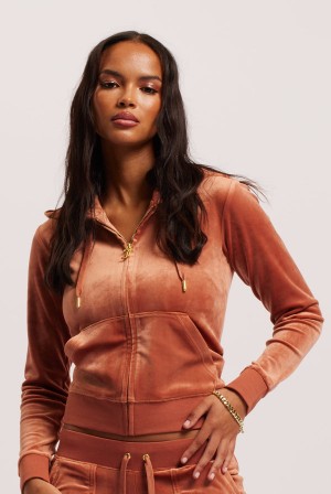 Juicy Couture Classic Velour Robertson Hoodie Kopper | JC-SN652116