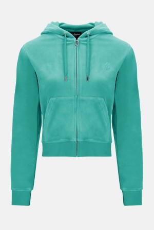 Juicy Couture Classic Velour Robertson Hoodie Blå Grønn | JC-SN652123