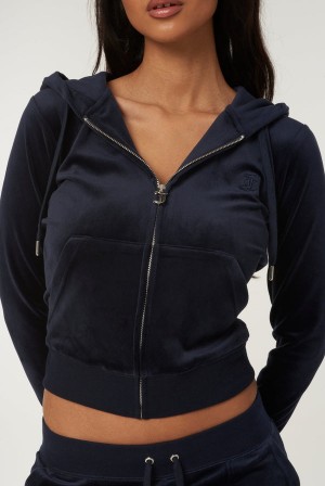 Juicy Couture Classic Velour Robertson Hoodie Blå | JC-SN652135