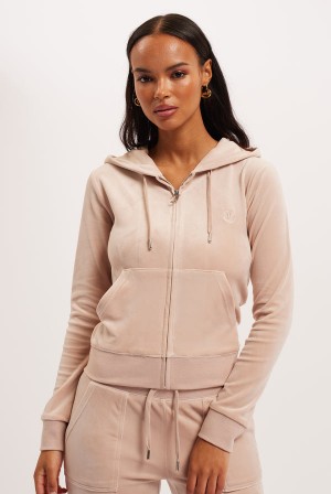 Juicy Couture Classic Velour Robertson Hoodie Lyse Brune | JC-SN652136