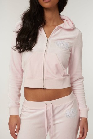 Juicy Couture Dog Crest Bamboo Velour Heritage Hoodie Rosa | JC-SN652170