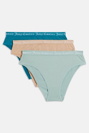 Juicy Couture Pack Of 3 Flate Knit Seamless Mid-rise Briefs Brune | JC-SN652272