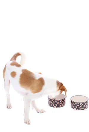 Juicy Couture Pet Set Of 2 Pet Keramikk Bowls Svarte | JC-SN652305