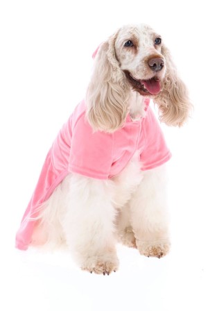 Juicy Couture Pet Velour Tracksuit M/L Rosa | JC-SN652310