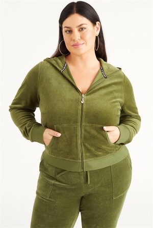 Juicy Couture Plus-size Icons Classic Bomull Velour Hoodie Grønn | JC-SN651537