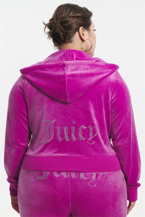 Juicy Couture Plus-size Og Big Bling Velour Hoodie Lilla | JC-SN651574