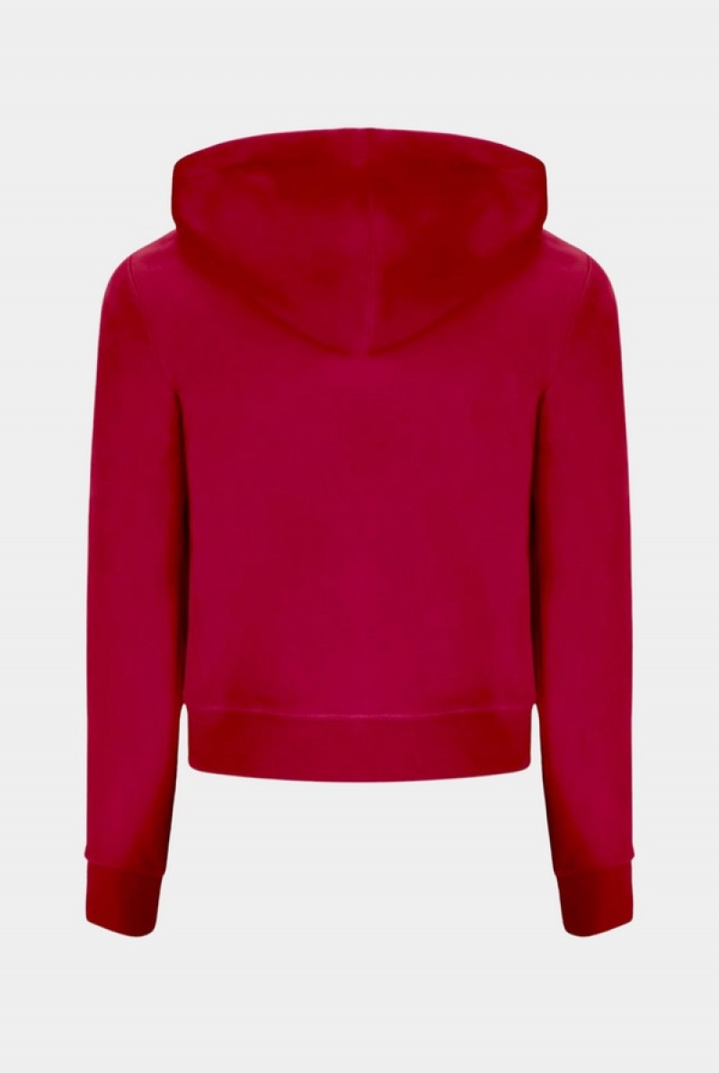 Juicy Couture Classic Velour Robertson Hoodie Rosa | JC-SN652050