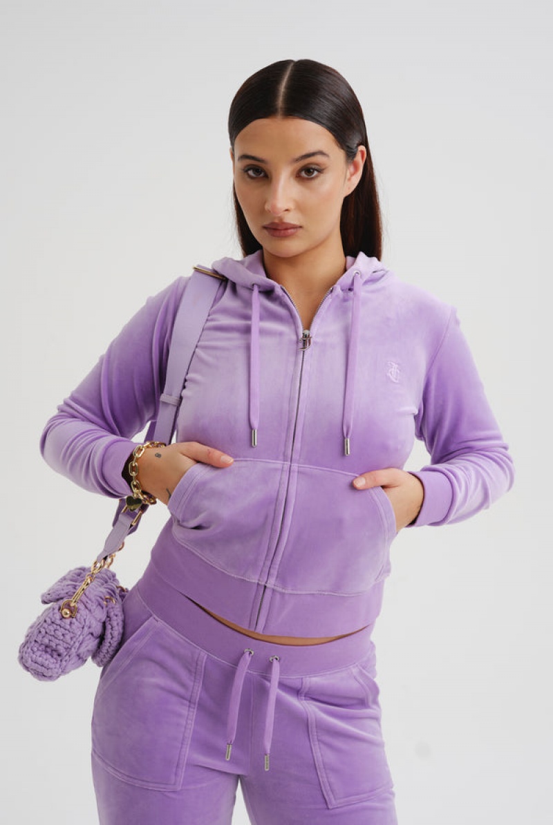 Juicy Couture Classic Velour Robertson Hoodie Lilla | JC-SN652072