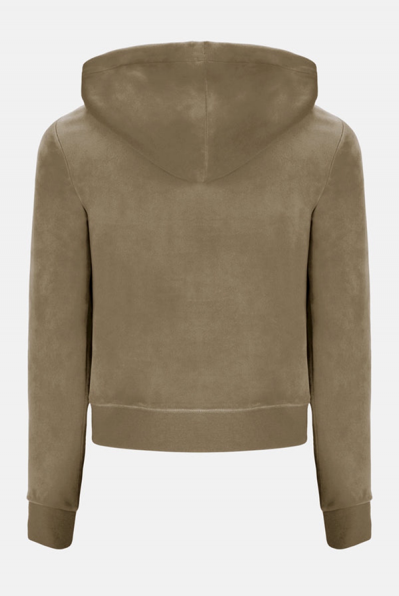 Juicy Couture Classic Velour Robertson Hoodie Brune | JC-SN652073