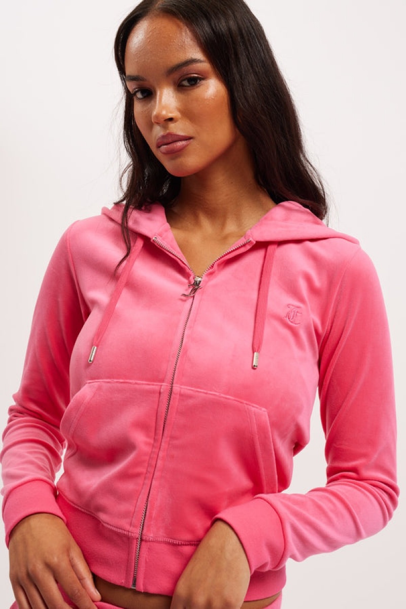 Juicy Couture Classic Velour Robertson Hoodie Rosa | JC-SN652103