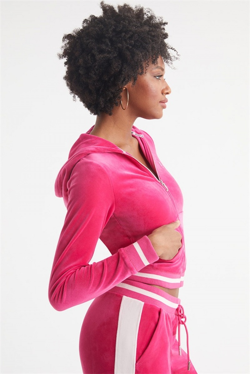 Juicy Couture Contrast Rib Velour Hoodie Rosa | JC-SN651547