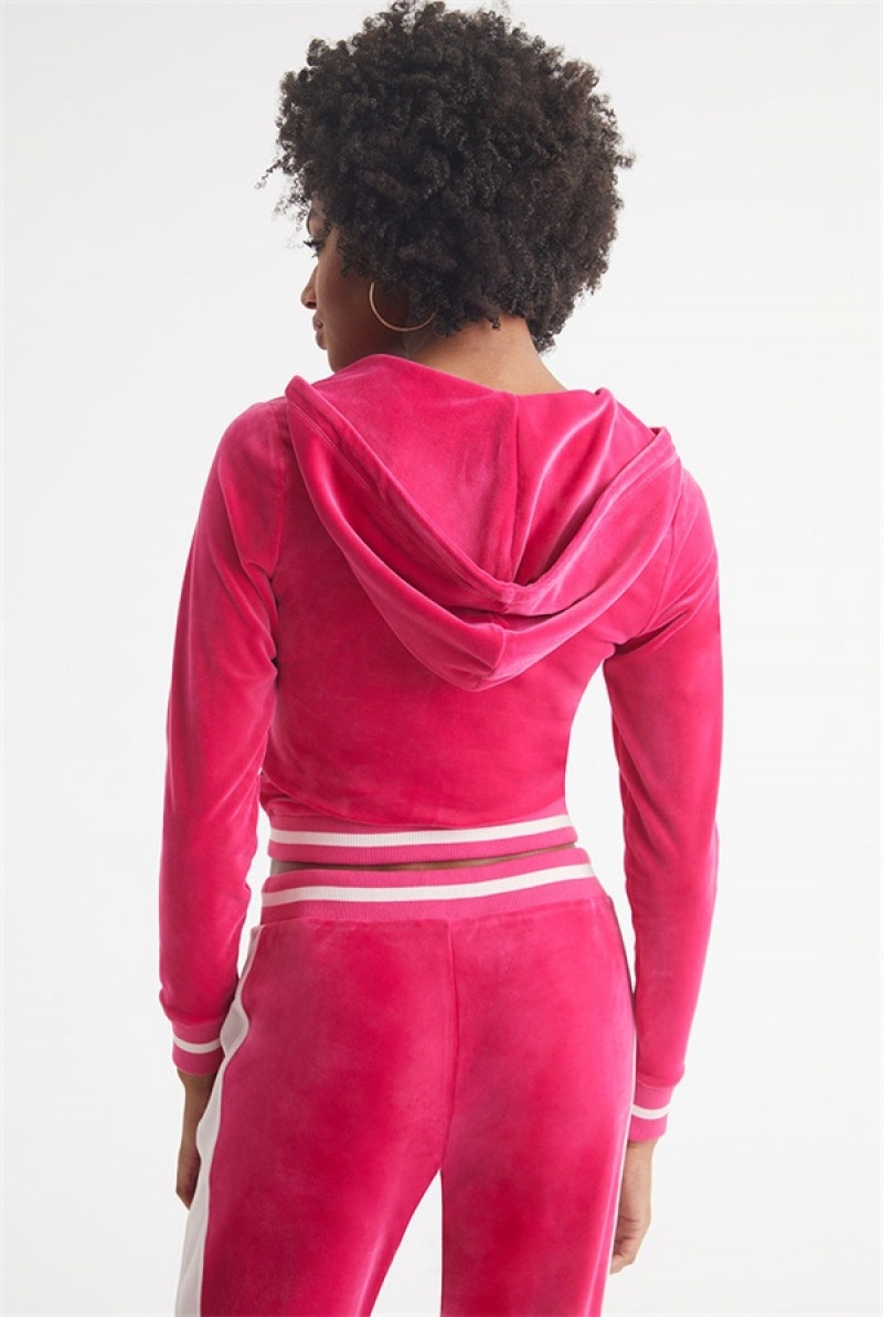 Juicy Couture Contrast Rib Velour Hoodie Rosa | JC-SN651547