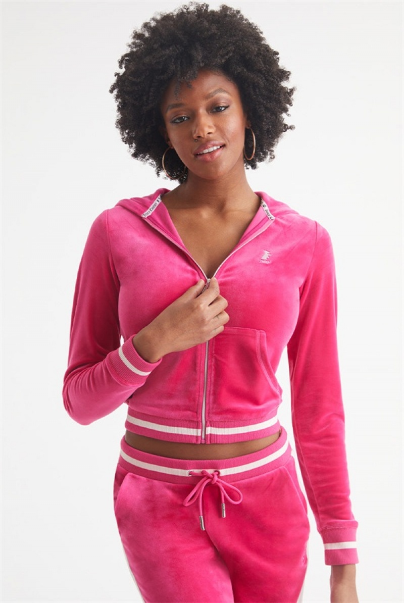 Juicy Couture Contrast Rib Velour Hoodie Rosa | JC-SN651547