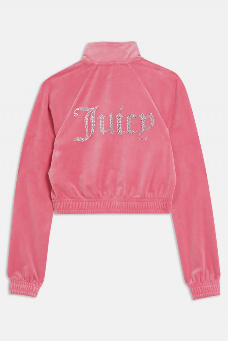 Juicy Couture Velour Diamante Cropped Tracktop Rosa | JC-SN651977