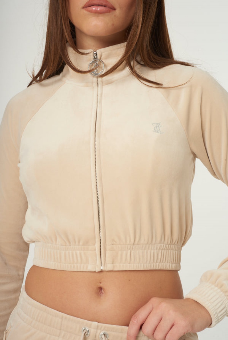 Juicy Couture Velour Diamante Cropped Tracktop Brune | JC-SN651995