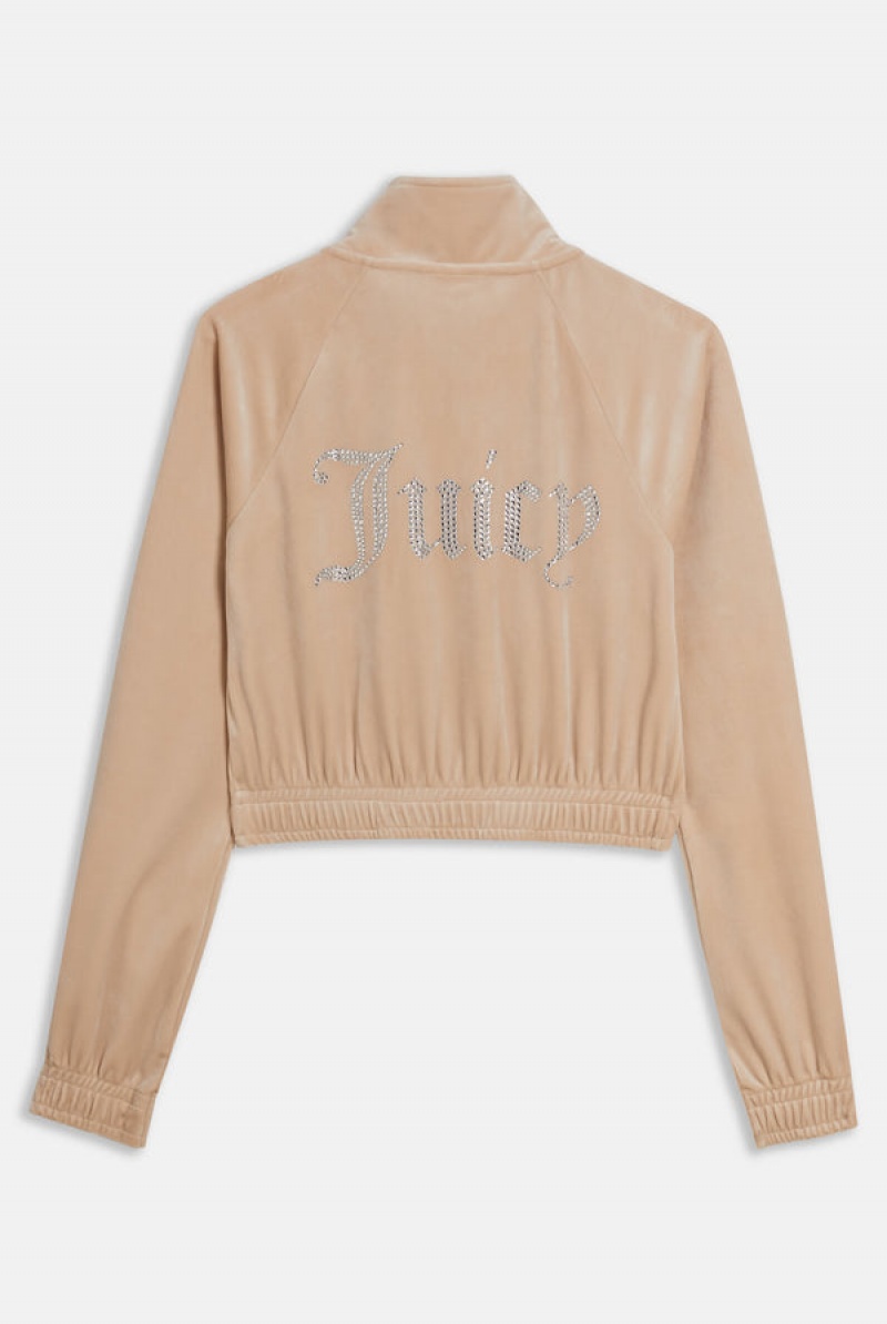 Juicy Couture Velour Diamante Cropped Tracktop Brune | JC-SN651995